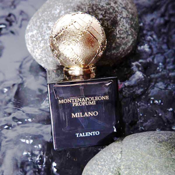 TALENTO - Image 2