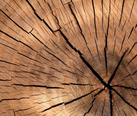 categoria-legno-big